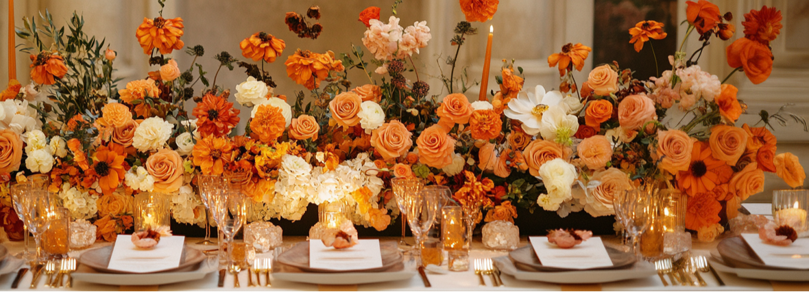 collection-banner-image