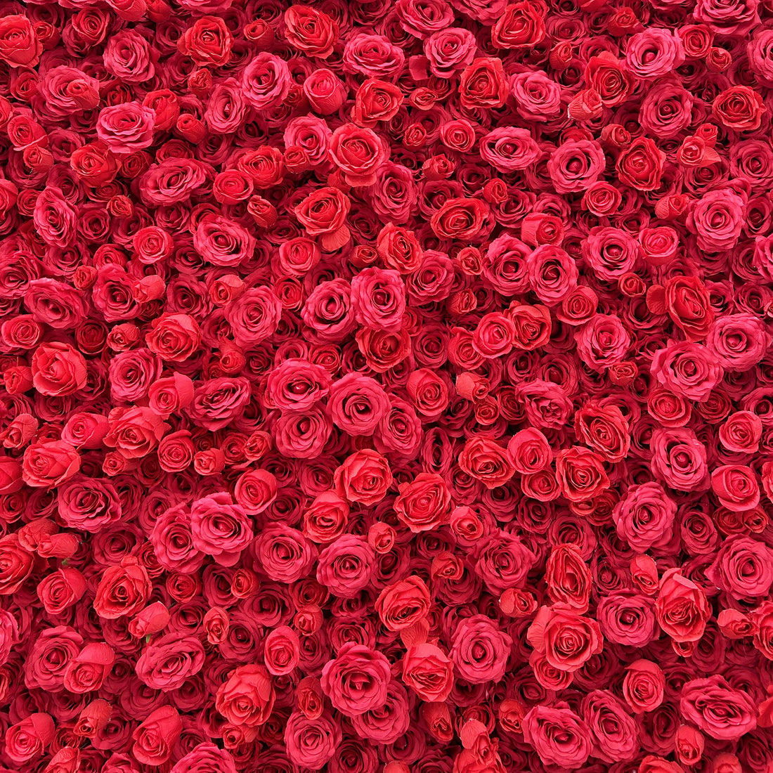 Beda Flower 5D Red Rose Roll Up Silk Flower Wall Panel Wedding Event Backdrop Decor